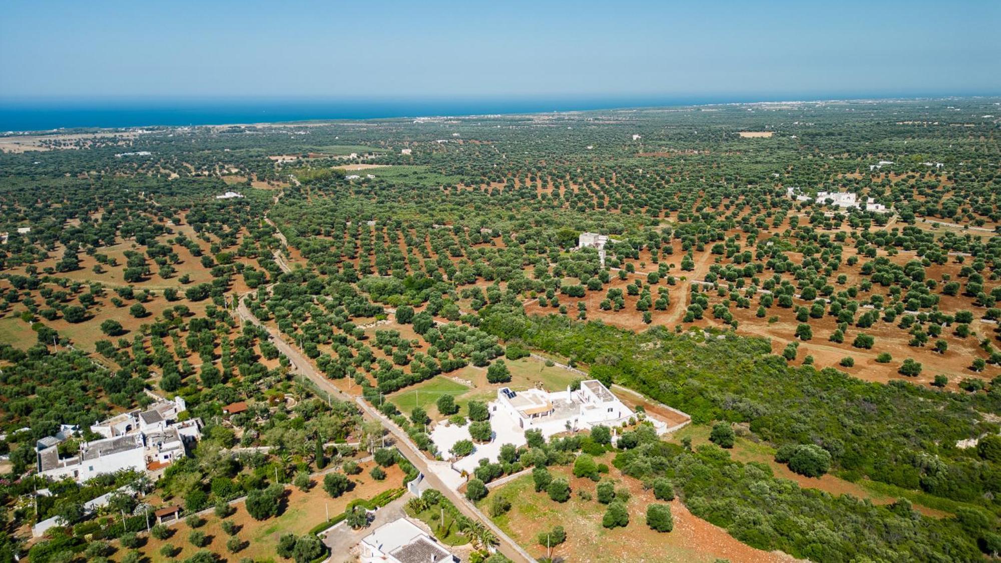 Masseria Abadia Uno Ostuni Εξωτερικό φωτογραφία
