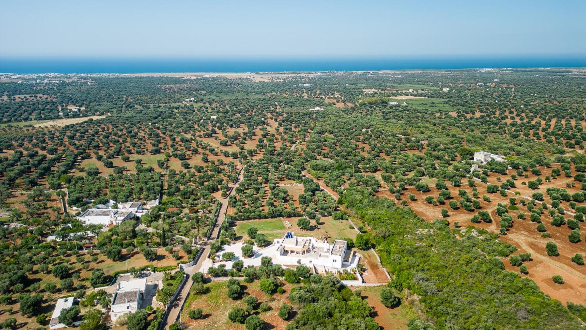 Masseria Abadia Uno Ostuni Εξωτερικό φωτογραφία